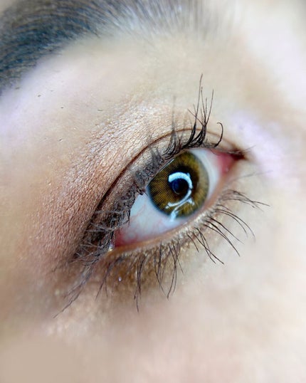 ウォンテッド トレジャーボックス アイパレット サウザンド・サニー/shu uemura/アイシャドウパレットを使ったクチコミ(5枚目)