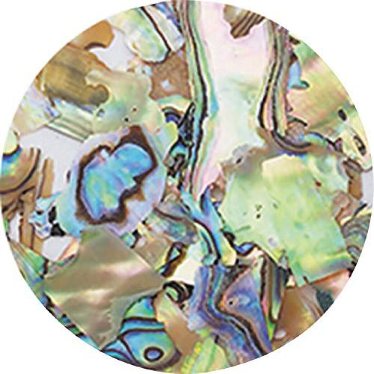 ナチュラルビーチシェル NZ01 ナチュラルマーブル