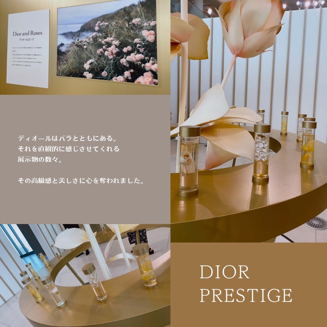 プレステージ マイクロ ユイル ド ローズ セラム/Dior/美容液を使ったクチコミ(3枚目)