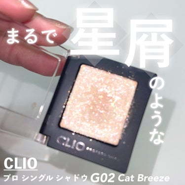 プロ シングル シャドウ G02 CAT BREEZE/CLIO/シングルアイシャドウを使ったクチコミ（1枚目）