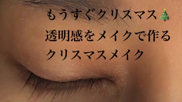 カラーインパクト リキッドライナー/Visée/リキッドアイライナーを使ったクチコミ（1枚目）