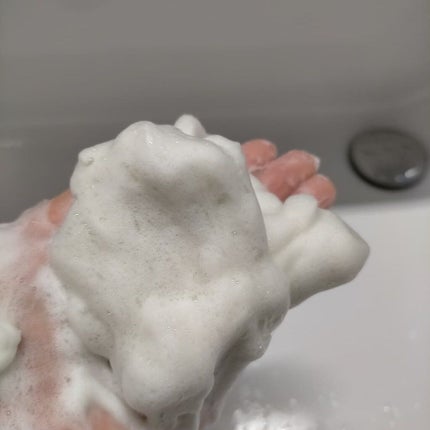 ワフードメイド 宇治抹茶酵素洗顔/pdc/洗顔パウダーを使ったクチコミ(3枚目)