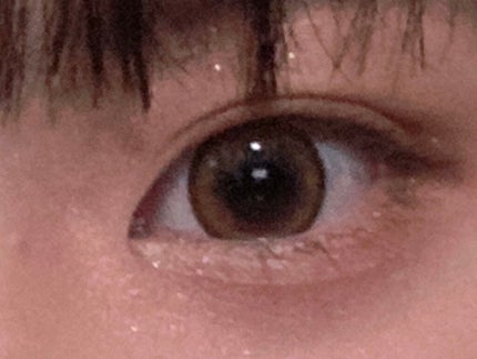 ブラウンアイライナー細芯/CEZANNE/リキッドアイライナーを使ったクチコミ(2枚目)