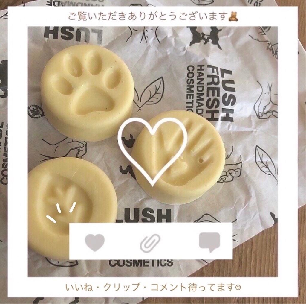 チャリティポット コイン/ラッシュ/ボディローションを使ったクチコミ(6枚目)