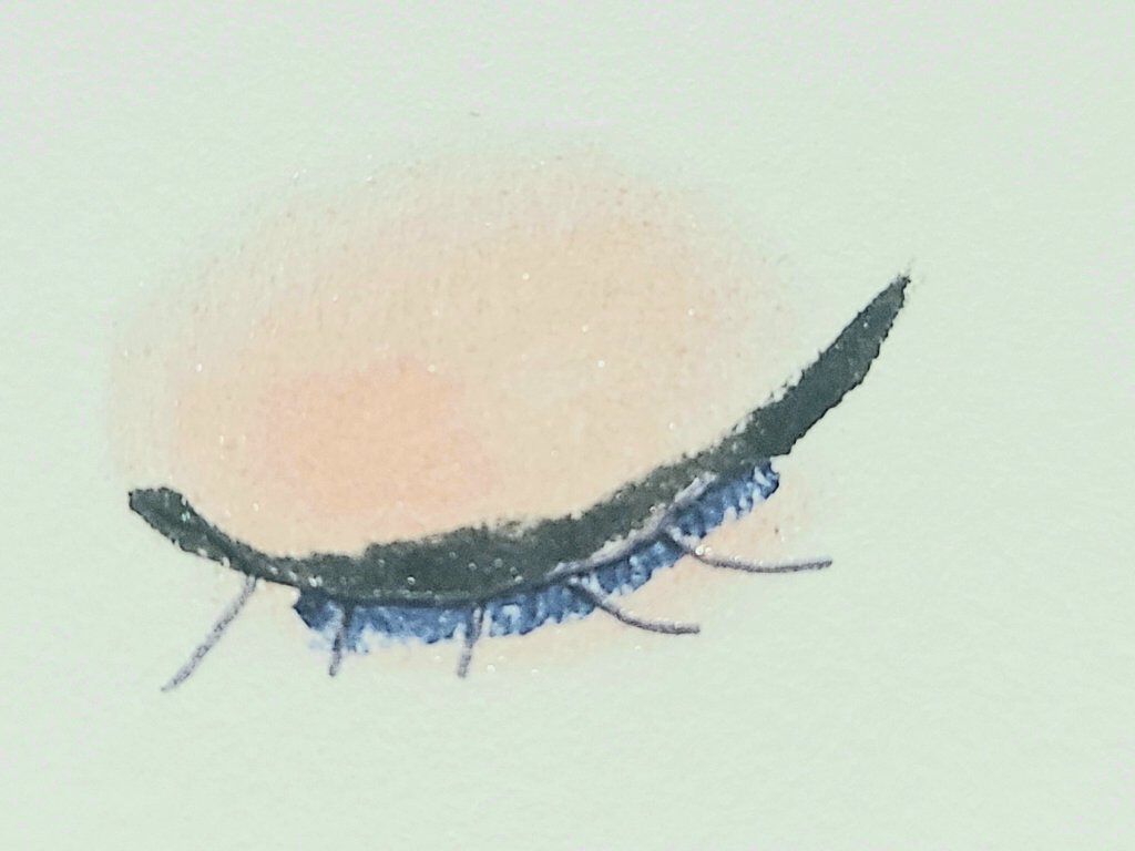 3WAYアイライナー＆シャドウ/ジュールモエ/ペンシルアイライナーを使ったクチコミ（3枚目）