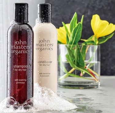 L&Aコンディショナー N/john masters organics/シャンプー・コンディショナーを使ったクチコミ（1枚目）