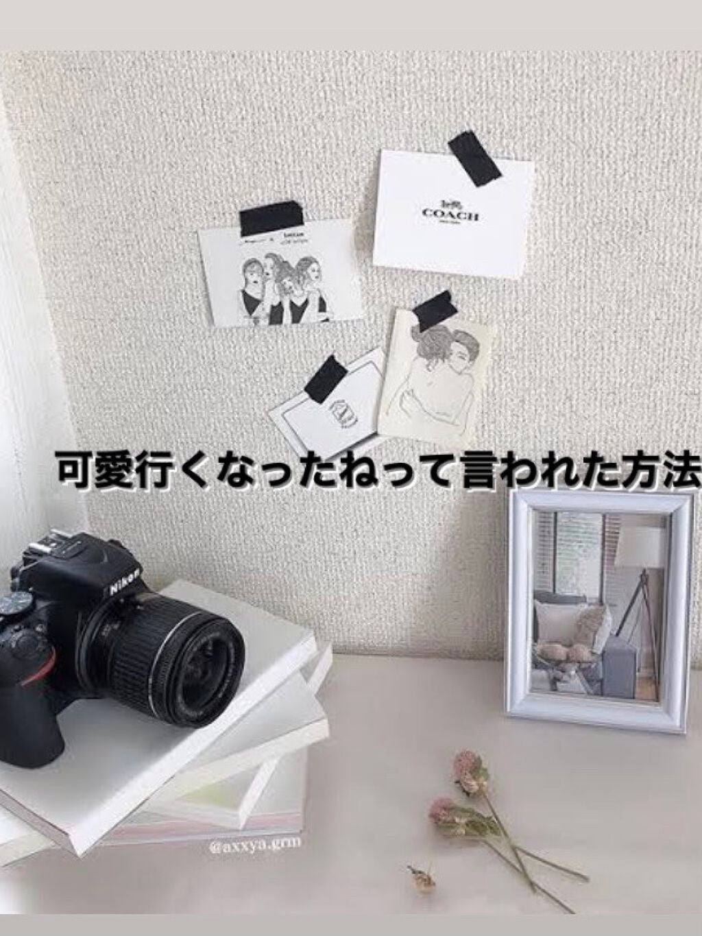 シェーディングパウダー/キャンメイク/シェーディングを使ったクチコミ(1枚目)