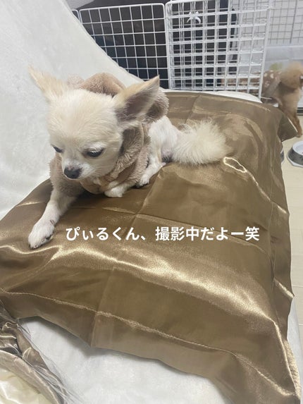 ナイトキャップ 美髪 ヘアキャップ 就寝用 パサつき予防/Qoo10/ヘアケアグッズを使ったクチコミ(7枚目)