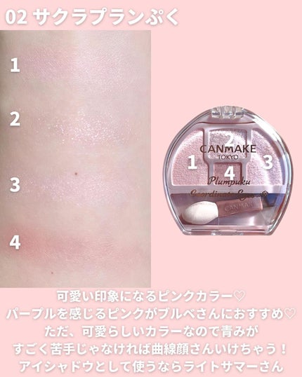プランぷくコーデアイズ/キャンメイク/パウダーアイシャドウを使ったクチコミ(5枚目)