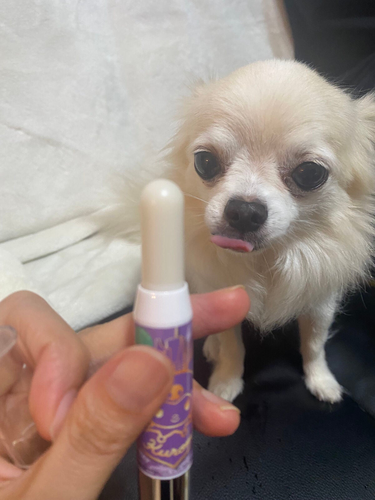 レブロン キス シュガー スクラブ/REVLON/リップスクラブを使ったクチコミ(7枚目)