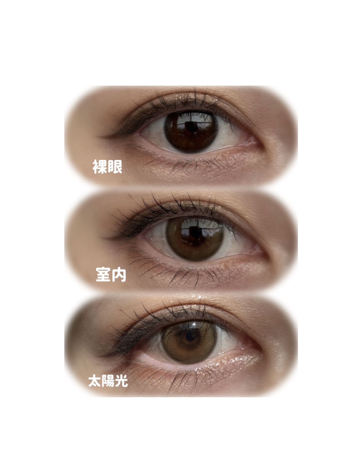 Ending 1day ブラウン/OLENS/ワンデー（１DAY）カラコンを使ったクチコミ（2枚目）