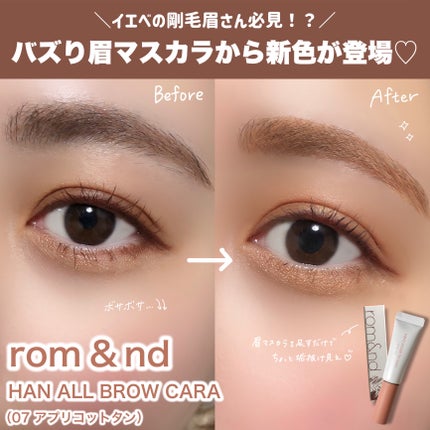 ハンオールブロウカラ/rom&nd/眉マスカラを使ったクチコミ(2枚目)