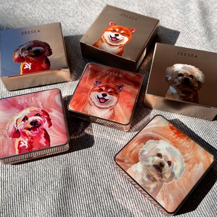 アニマルアイシャドウ(4シェード)/ZEESEA/アイシャドウパレットを使ったクチコミ(9枚目)