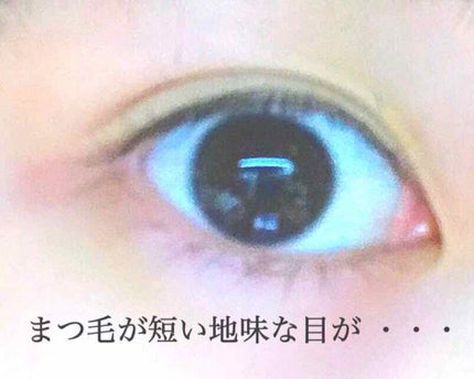 ãã¯ãã«ãã£ã«ã  ãã¹ã«ã©(ãã³ã°)/FASIO/ãã¹ã«ã©ã䜿ã£ãã¯ãã³ãïŒ3æç®ïŒ