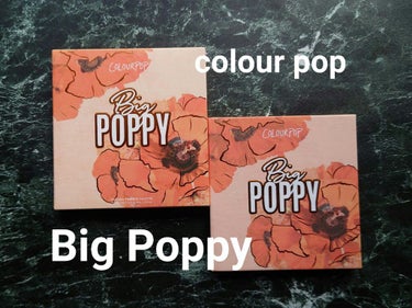 ColourPop ビッグポピーのクチコミ「#colourpop
#BigPoppy

オールマットのパレット。
カラポだとめずらしいんじ.....」（1枚目）