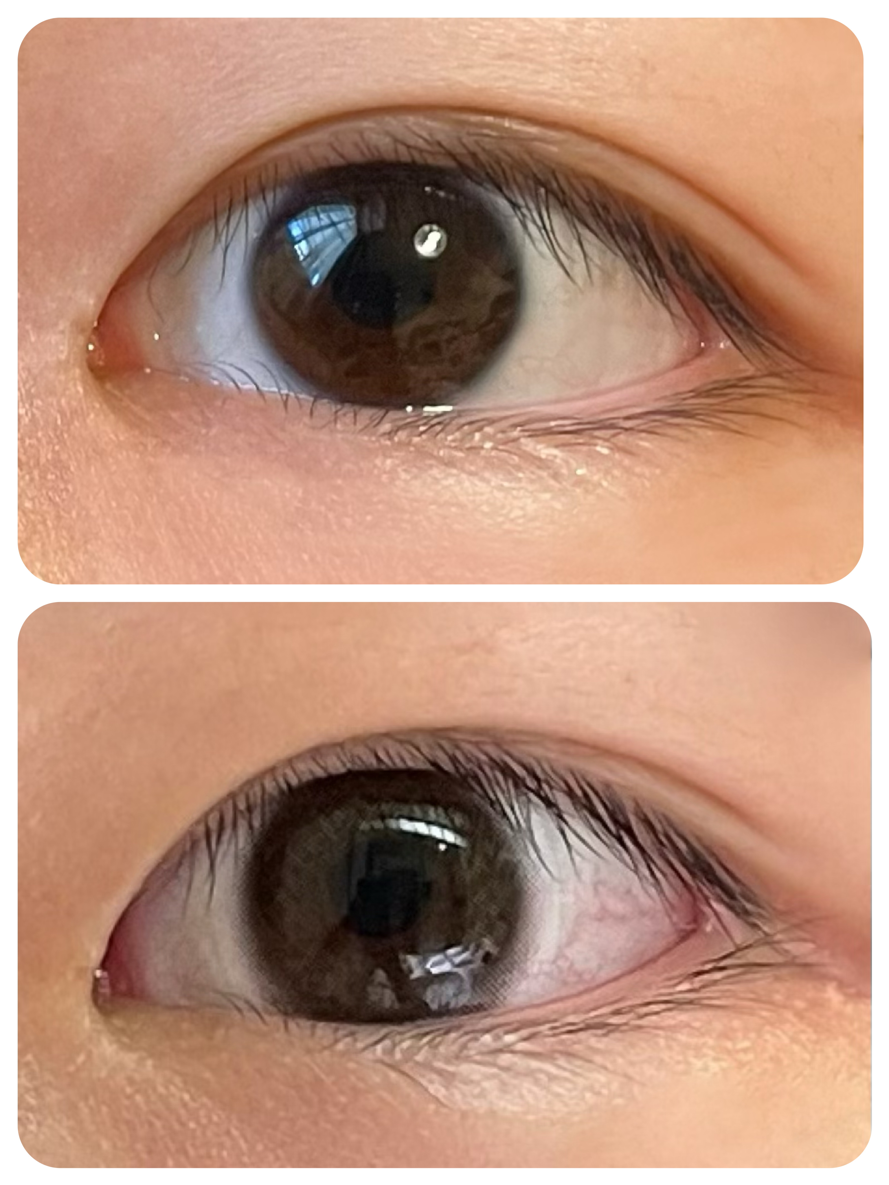 miium 1day/miium/ワンデー（１DAY）カラコンを使ったクチコミ（2枚目）