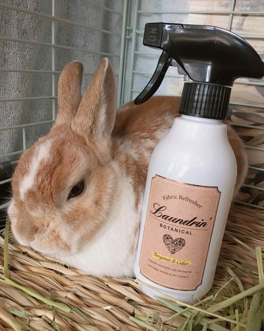 ボタニカル ファブリックミスト/ランドリンボタニカル/ファブリックミストを使ったクチコミ（1枚目）