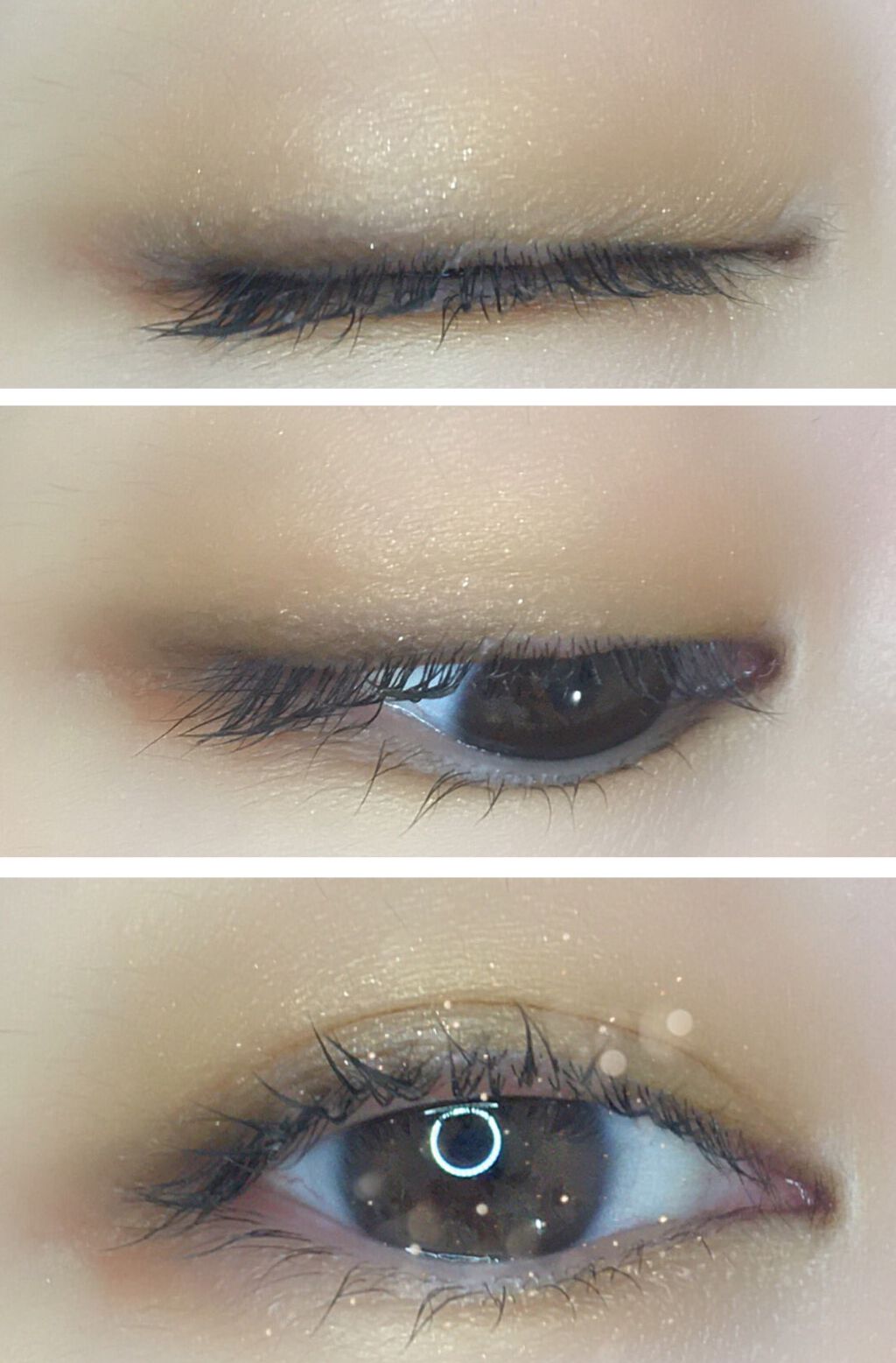 アイカラーレーション/LUNASOL/アイシャドウパレットを使ったクチコミ(3枚目)