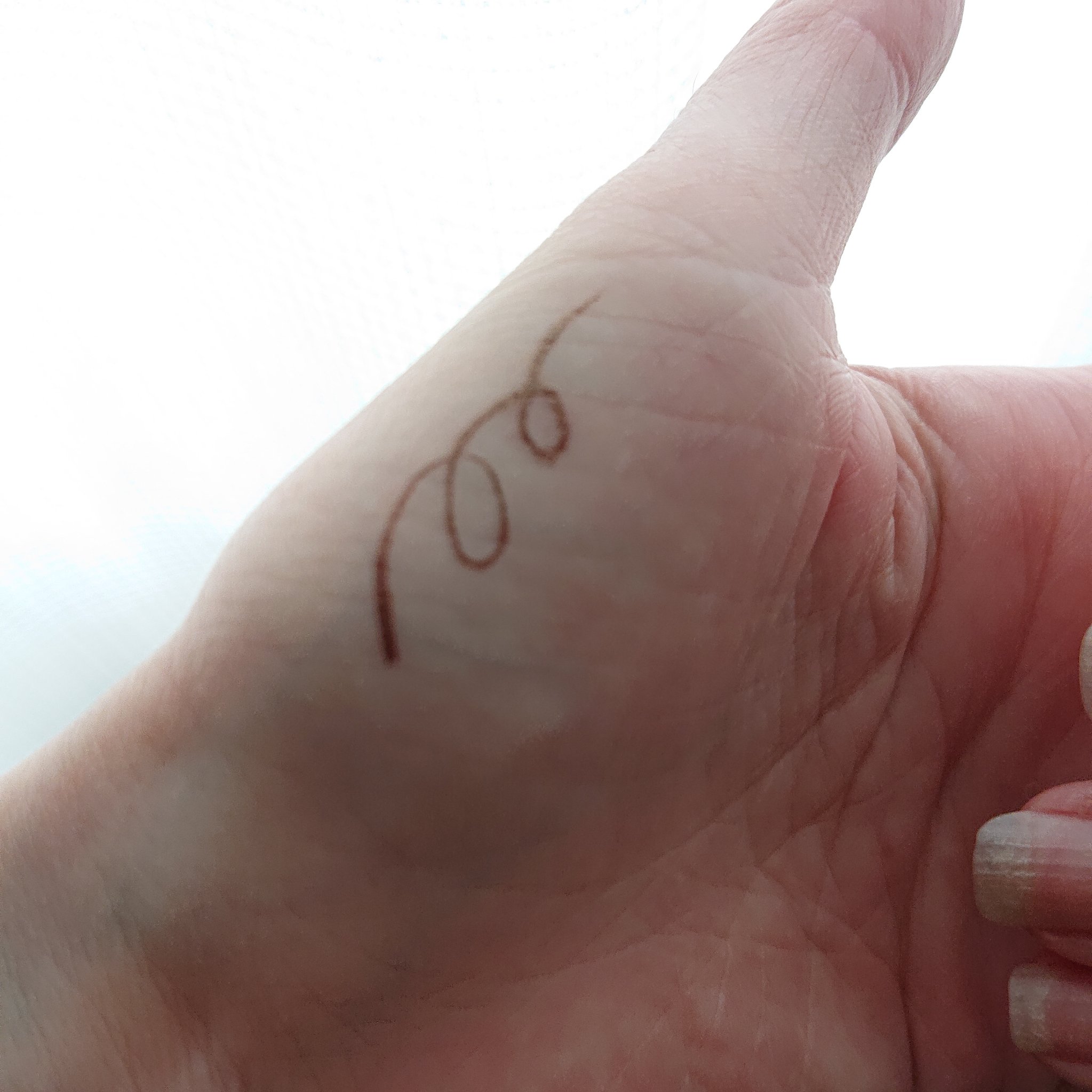 アイデザインライナー BRBK ブロンズブラック/COCOROIKI/リキッドアイライナーを使ったクチコミ（3枚目）