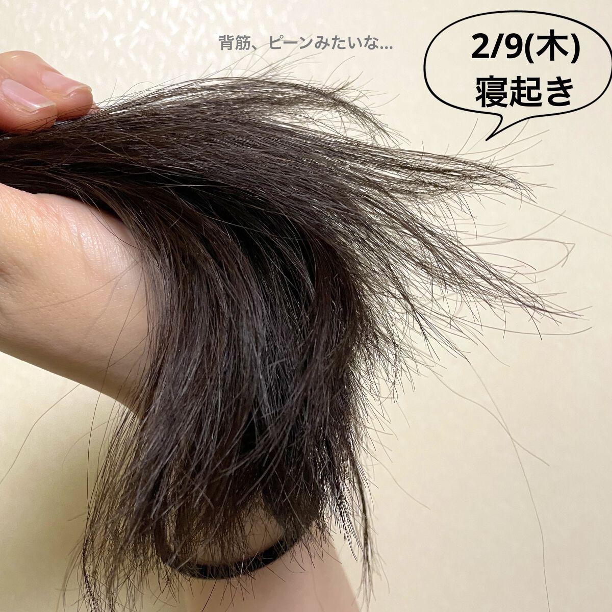 ウォーターコンク モイストシャンプー/ヘアトリートメント/ululis/市販シャンプーを使ったクチコミ（2枚目）