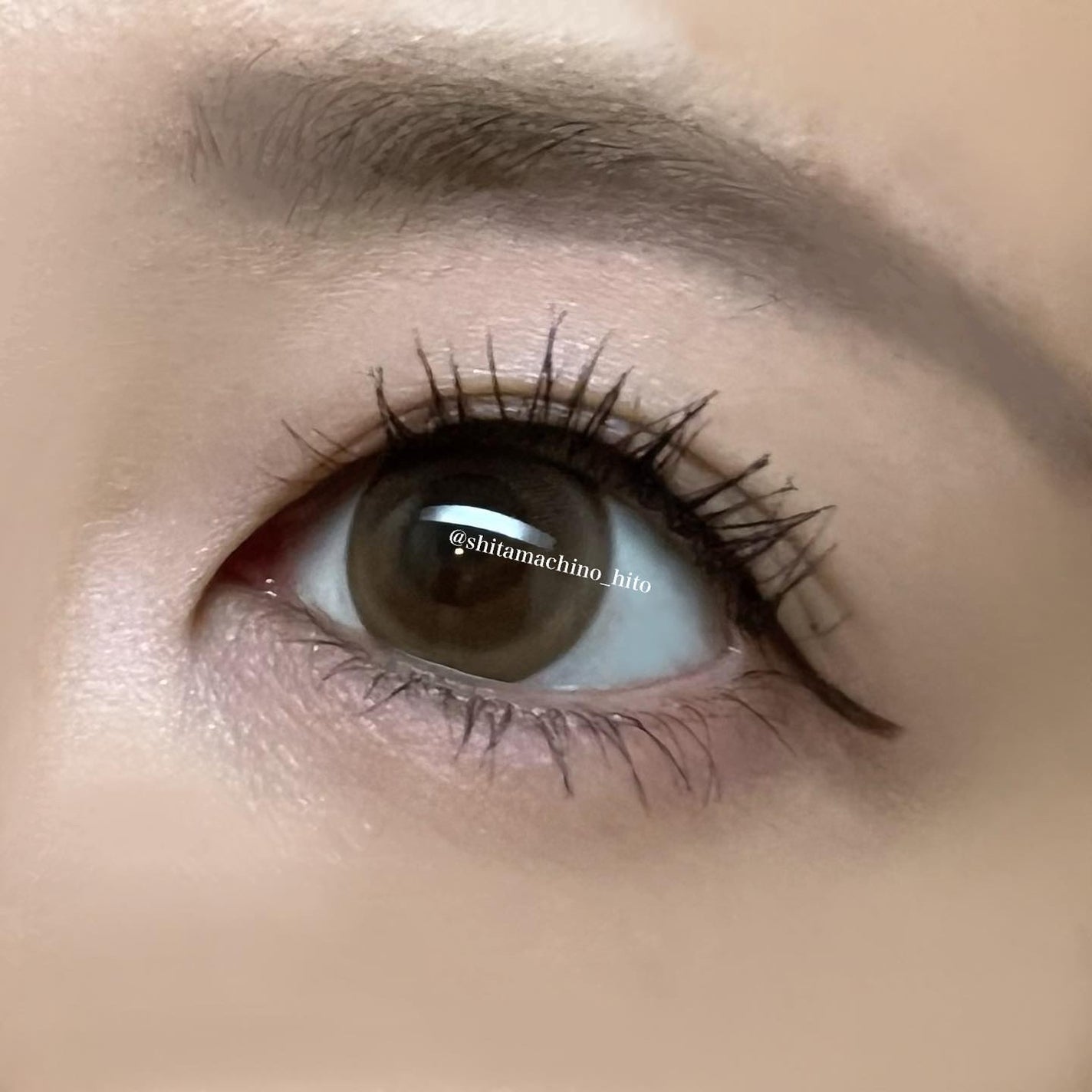 アイカラーレーション/LUNASOL/アイシャドウパレットを使ったクチコミ(5枚目)