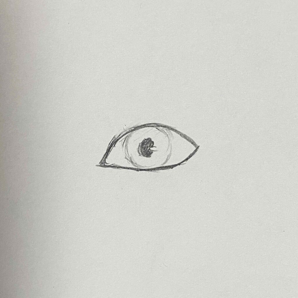 【旧品】パーフェクトスタイリストアイズ/キャンメイク/アイシャドウパレットを使ったクチコミ(2枚目)