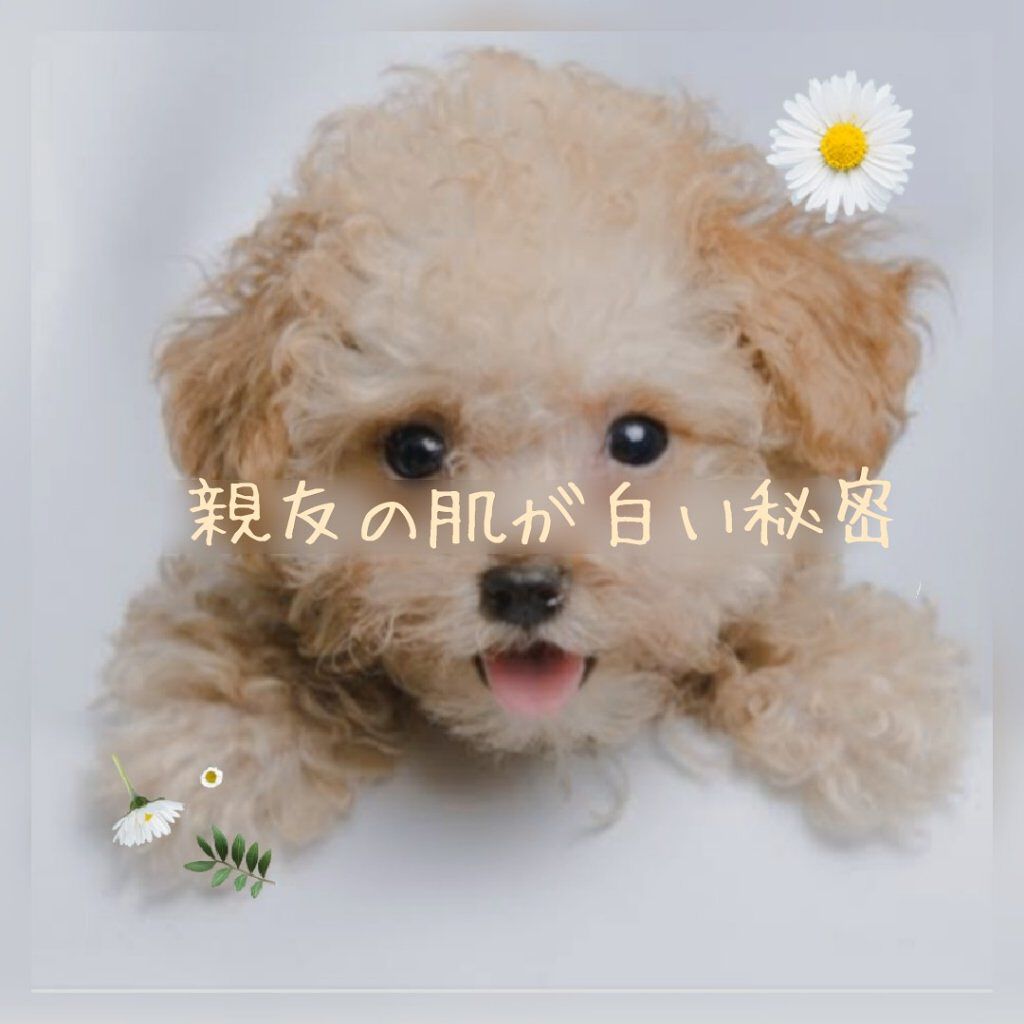 セタフィル モイスチャライジングローション/セタフィル/ボディローションを使ったクチコミ（1枚目）