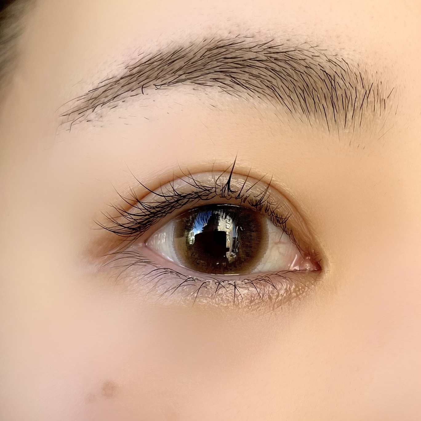 U.P.D. 1day/U.P.D./ワンデー（１DAY）カラコンを使ったクチコミ（3枚目）