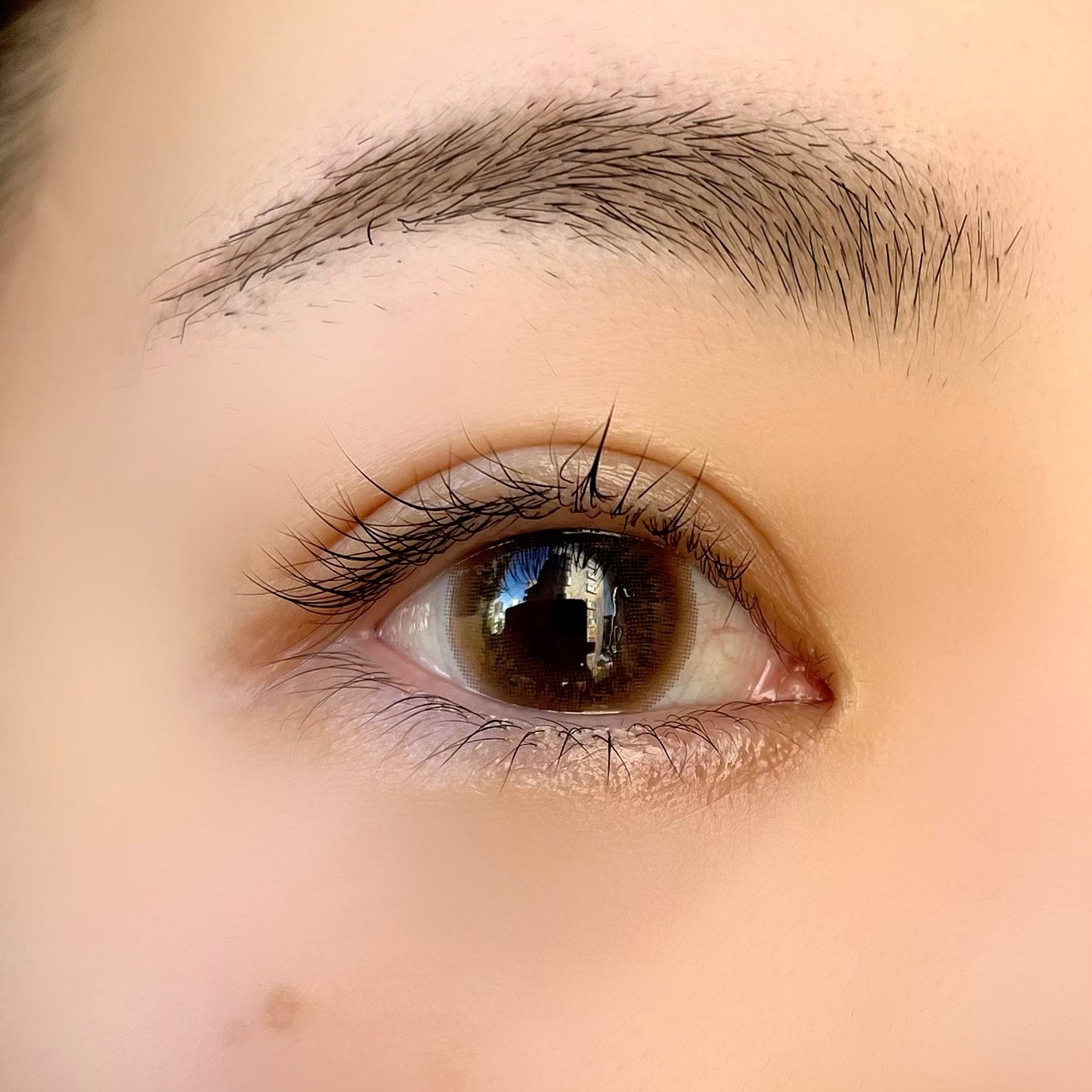 U.P.D. 1day/U.P.D./ワンデー(1DAY)カラコンを使ったクチコミ(3枚目)