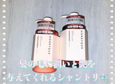 リッチグロス シャンプー シャイニー／ヘアトリートメント シャイニー シャンプー本体 450ml/ハニーク/シャンプー・コンディショナーを使ったクチコミ（1枚目）