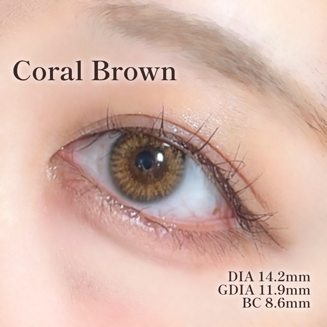 MOLAK 1day/MOLAK/ワンデー（１DAY）カラコンを使ったクチコミ（3枚目）