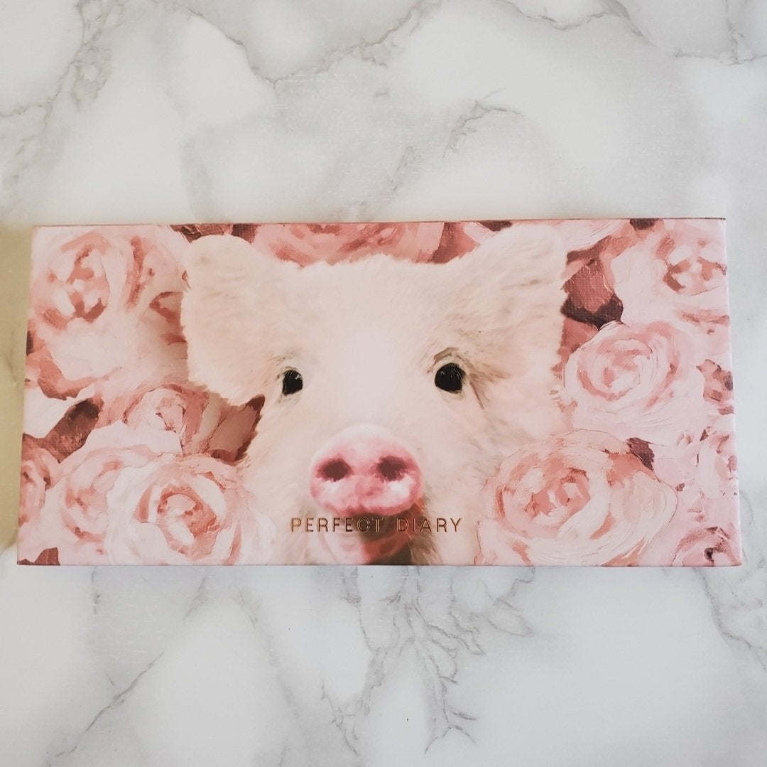 エクスプローラ12色 動物アイシャドウパレット/PERFECT DIARY/アイシャドウパレットを使ったクチコミ(1枚目)