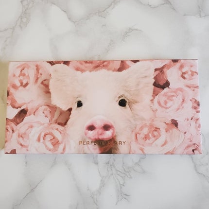 エクスプローラ12色 動物アイシャドウパレット/PERFECT DIARY/アイシャドウパレットを使ったクチコミ(1枚目)