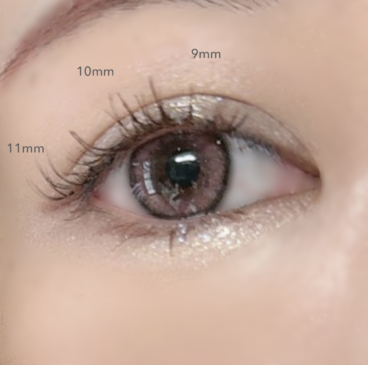 CCAM BBAK 11mm DeepOrange/CCAM BBAK/その他を使ったクチコミ（2枚目）