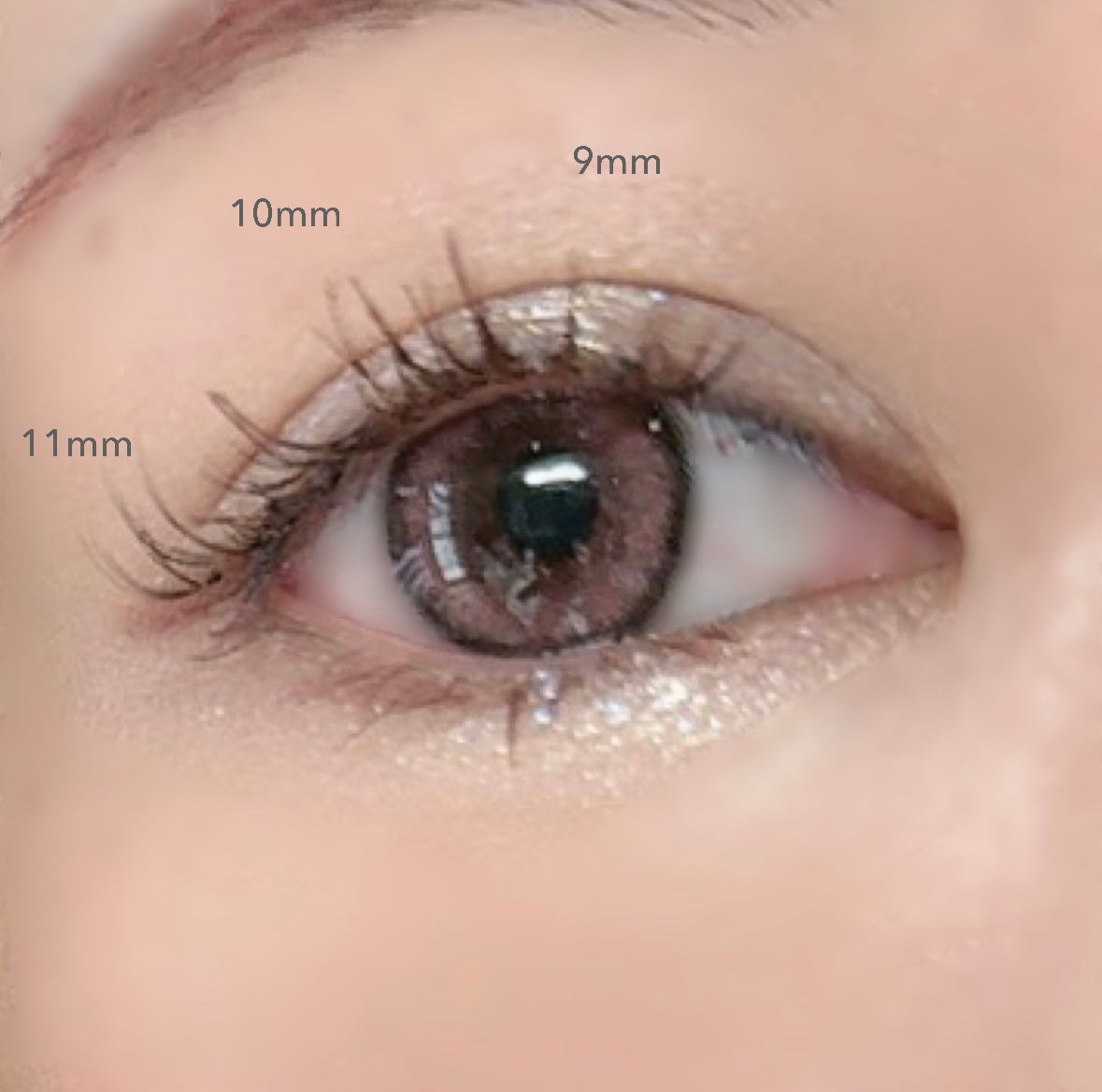 CCAM BBAK 11mm DeepOrange/CCAM BBAK/その他を使ったクチコミ(2枚目)