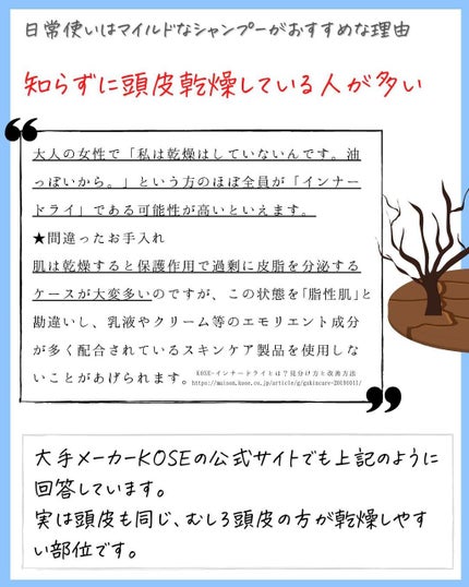 ひでよし@シャンプー2本使い論者 on LIPS 「【シャンプーは2本使いがおすすめ】「※コメント欄にて口コミ募集..」(5枚目)