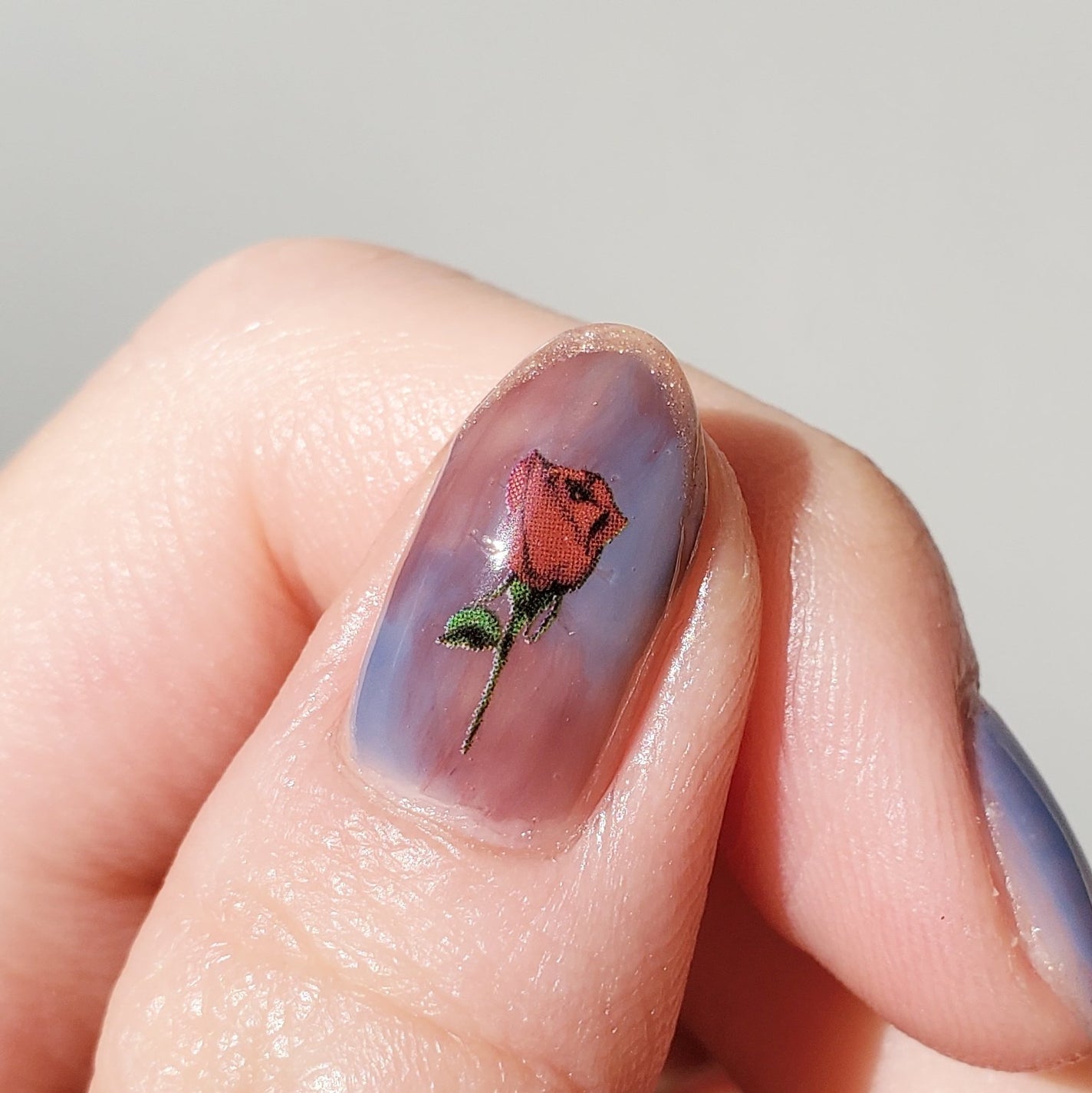 カラフルネイルズ/キャンメイク/マニキュアを使ったクチコミ(3枚目)