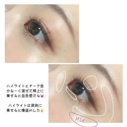 キャットハイライティングブラッシュ/ZEESEA/パウダーハイライトを使ったクチコミ(6枚目)