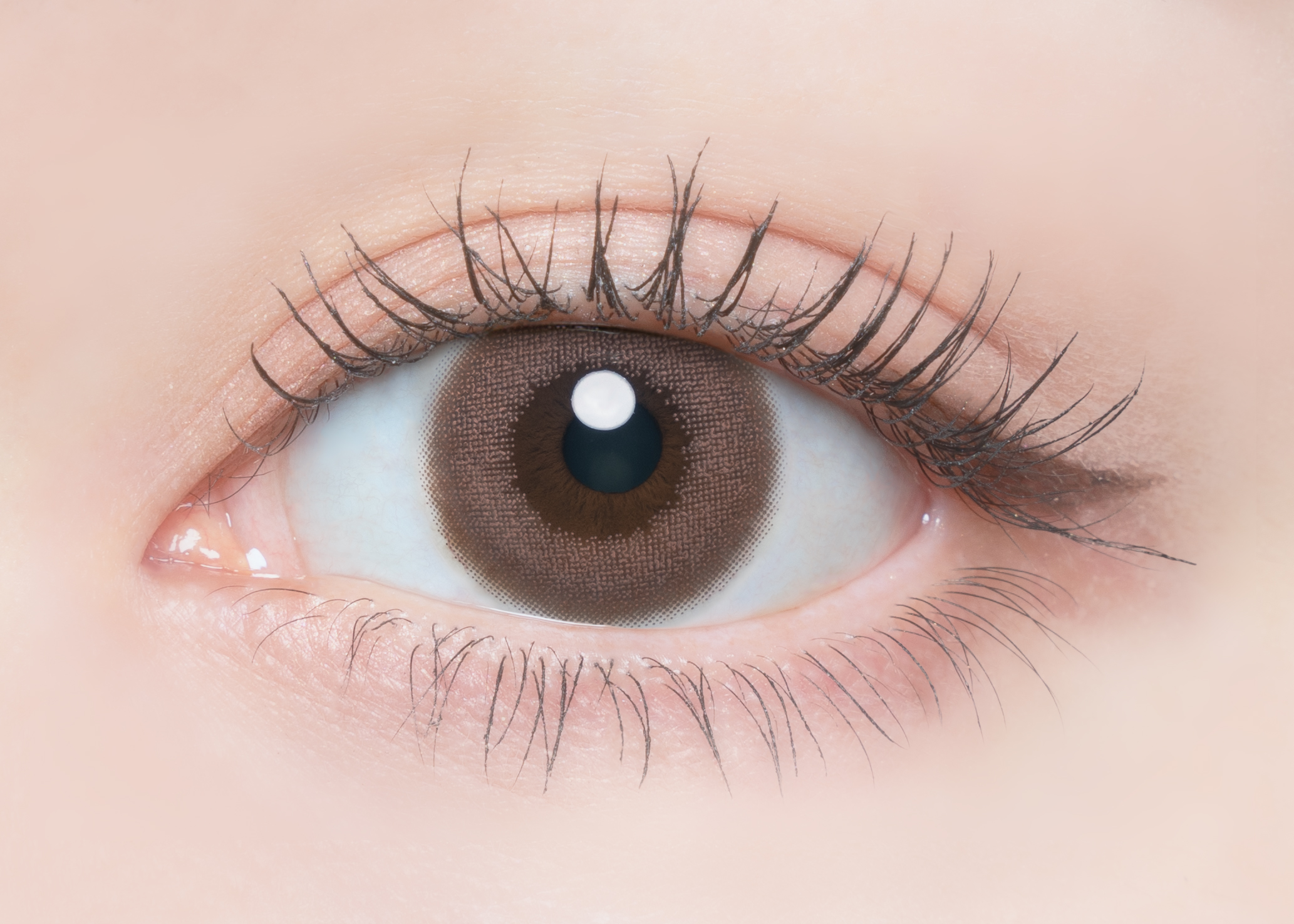 FLANMY 1day チュールロゼ※2024/12〜カラー名変更