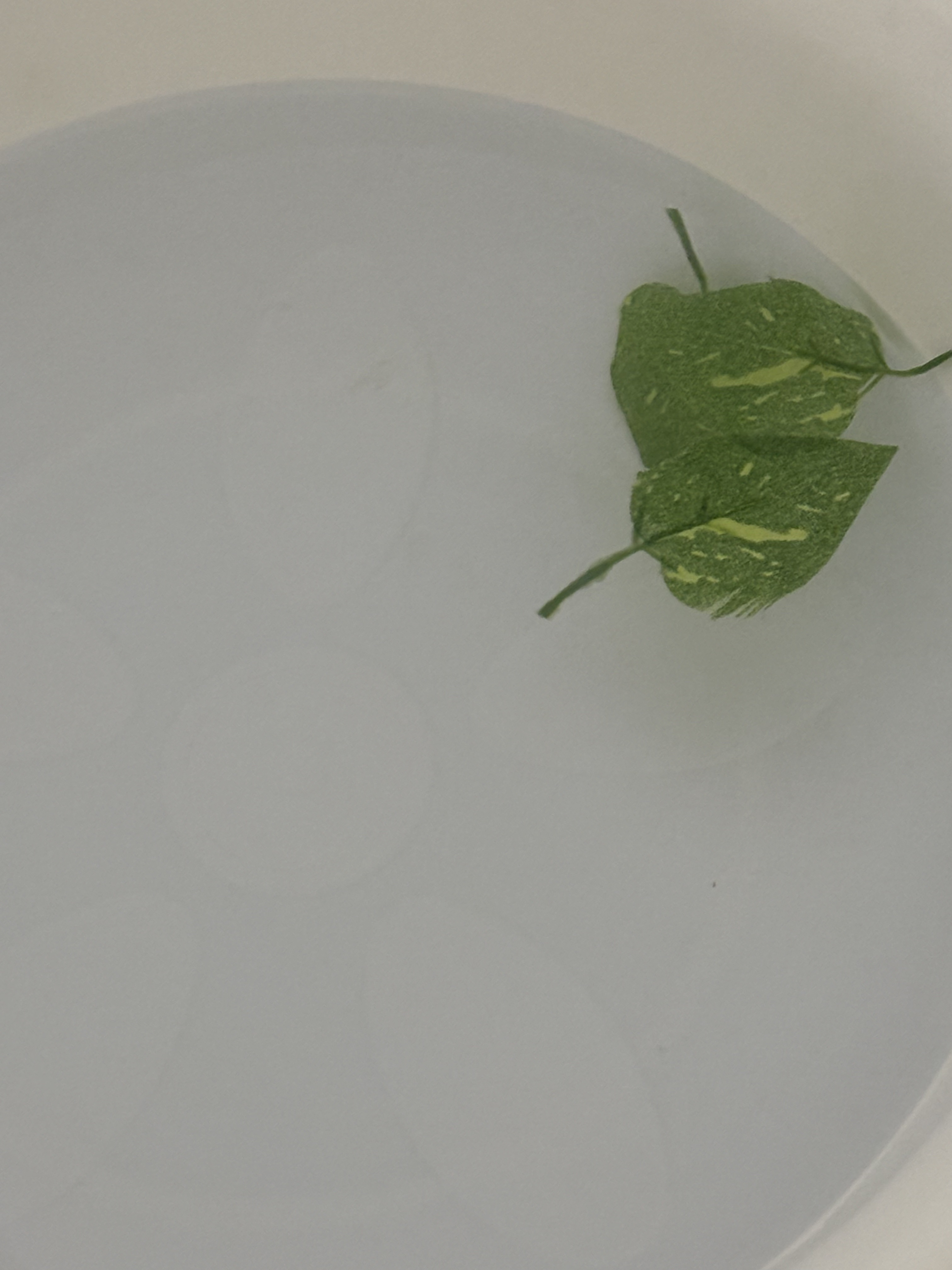 アーユルタイム グッドナイトデイ バスソルト シダーウッド&ゼラニウムの香り/バスクリン/無機塩系入浴剤を使ったクチコミ（3枚目）