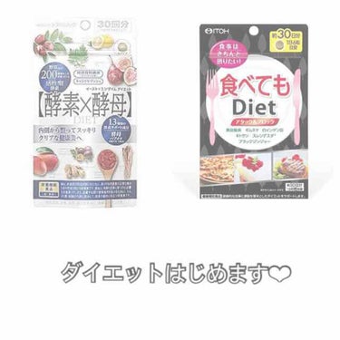 食べてもDiet/井藤漢方製薬/ボディサプリメントを使ったクチコミ（1枚目）