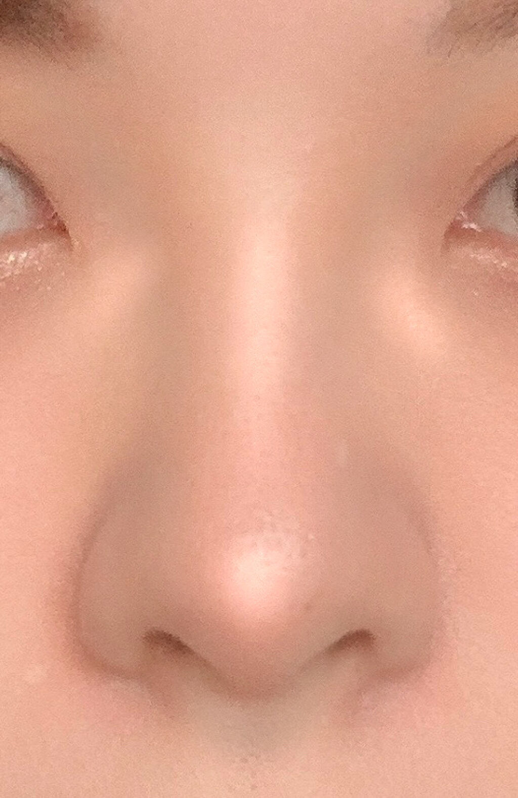 シェーディングパウダー/キャンメイク/シェーディングを使ったクチコミ（3枚目）