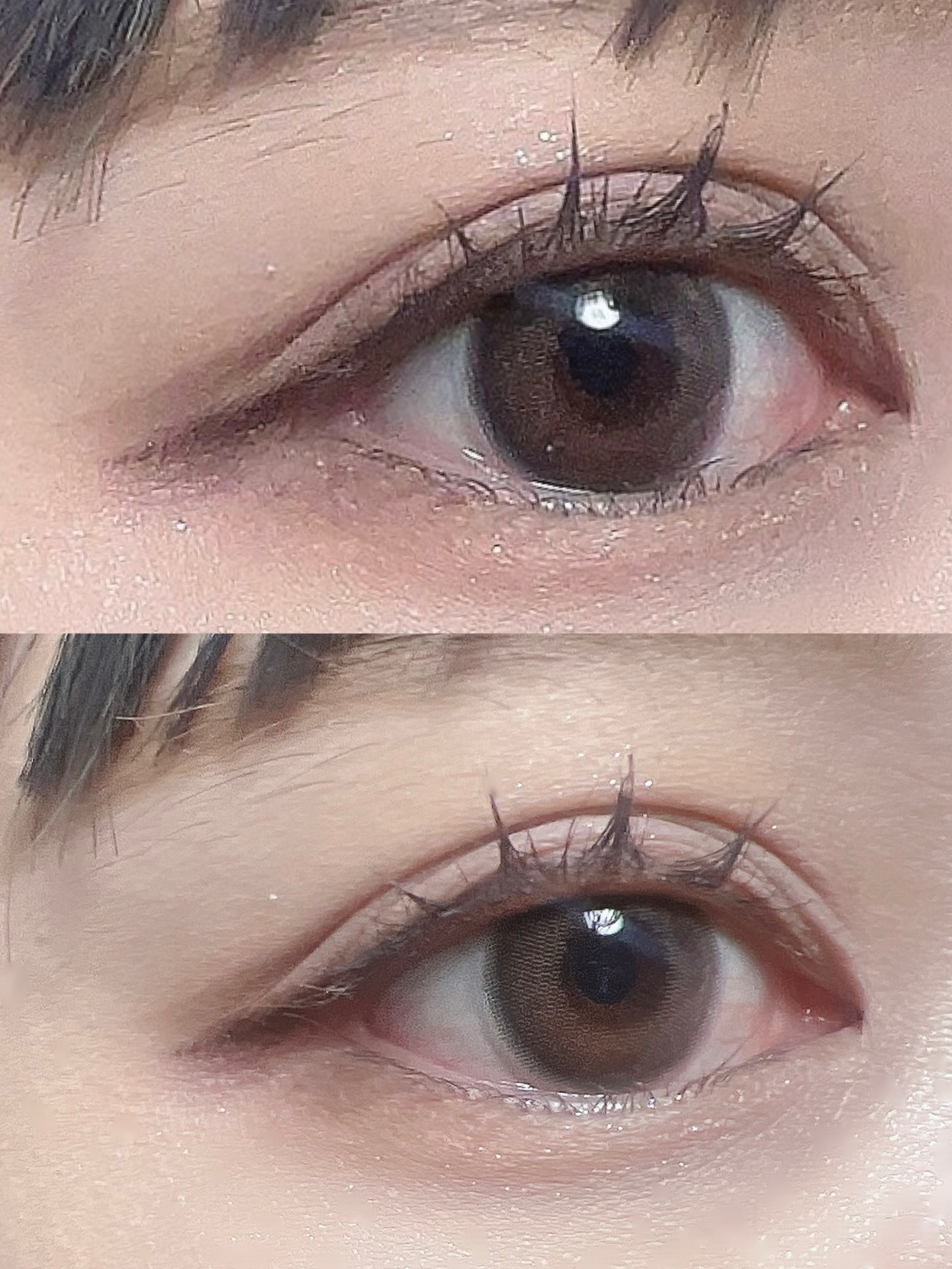 カールフィックスマスカラ/ETUDE/マスカラを使ったクチコミ（2枚目）