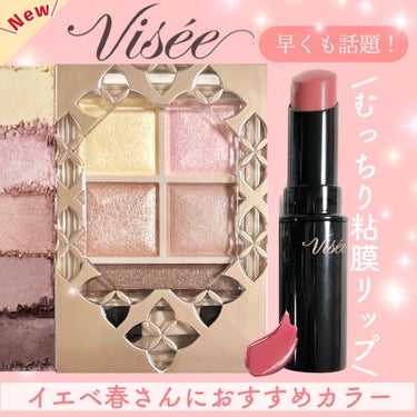 パノラマデザイン アイパレット/Visée/アイシャドウパレットを使ったクチコミ（1枚目）