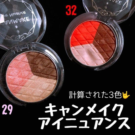 アイニュアンス/キャンメイク/アイシャドウパレットを使ったクチコミ(1枚目)