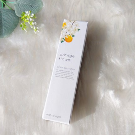 オレンジフラワーミストコロン/生活の木/香水(その他)を使ったクチコミ(5枚目)