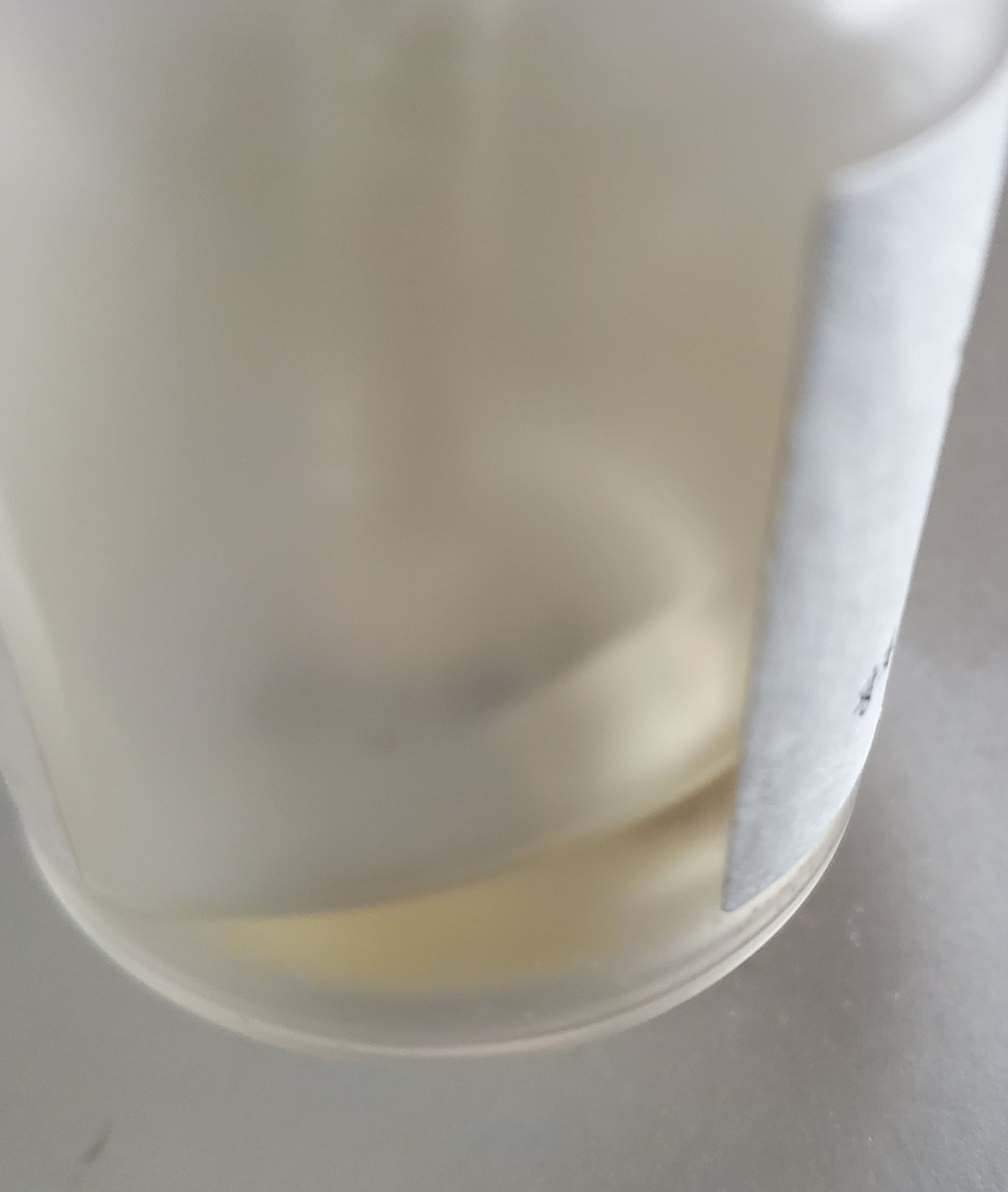 光彩プロポリスセラム /Beauty of Joseon/美容液を使ったクチコミ（2枚目）