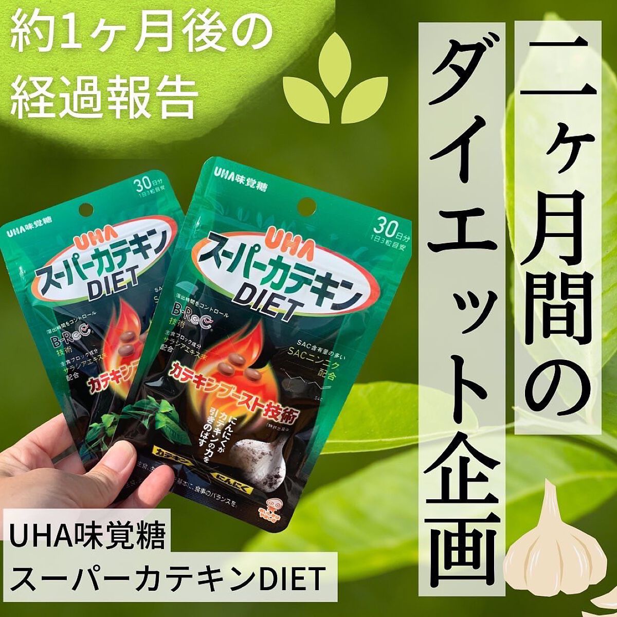 スーパーカテキンDIET/UHA味覚糖/ボディサプリメントを使ったクチコミ（1枚目）