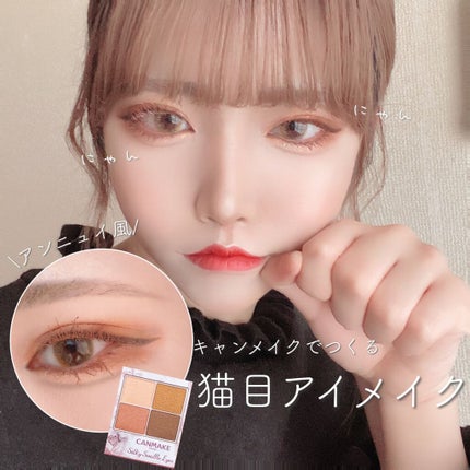 シルキースフレアイズ/キャンメイク/アイシャドウパレットを使ったクチコミ(1枚目)