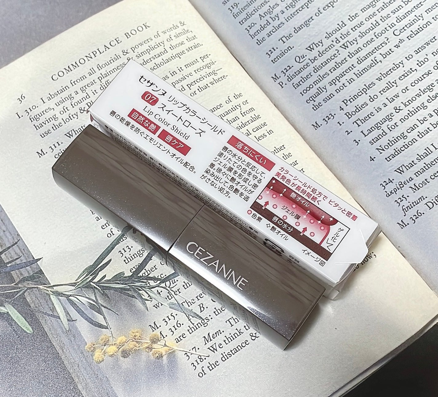 リップカラーシールド/CEZANNE/口紅を使ったクチコミ(2枚目)